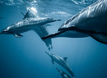 Kaiyun开云中国官网：开启云端智慧生活的新入口